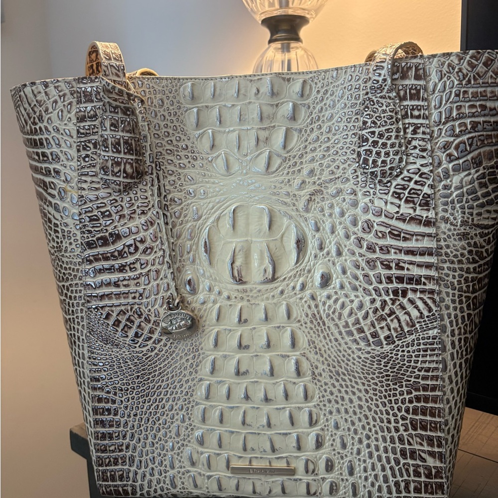 Brahmin Jayden Ginger Tote